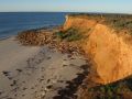 Port Gibbon region, Eyre Peninsula, southern SA 2013.