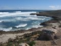 Cactus Beach, SA 2013.