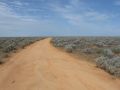 Nullarbor Plain, western SA 2013.