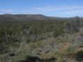 Gawler Ranges, central SA 2013.
