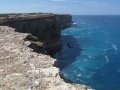 Bunda Cliffs, Nullarbor NP, SA 2013.