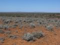 Pimba region, central SA 2012.