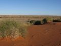 William Creek, central SA 2012.