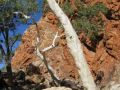 West Macdonnell Ranges, NT 2012.