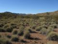 West Macdonnell Ranges, southern NT 2012.
