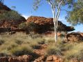 Kings Canyon region, southern NT 2012.