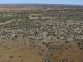 Kings Canyon region, southern NT 2012.