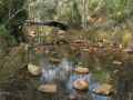 Mt Remarkable NP, eastern SA 2012.
