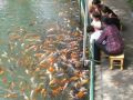Chengdu, central China 2006.