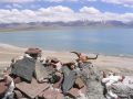 Lake Namso, central Tibet 2006.