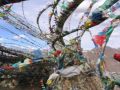 Shigatse, southern Tibet 2006.