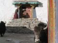 Everest region, southern Tibet 2006.