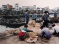 Beihai, southern China 2004.
