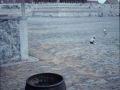 Forbidden City, Beijing, China 2001.