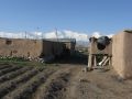 Sary Mogal, southern Kyrgyzstan 2014.