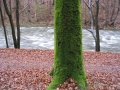 East Bohemia, Czechia 2007.
