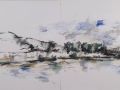 Derwent River 1 2026.
