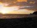 Chiloe NP, southern Chile 2010.