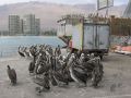 Iquique, northern Chile 2016.