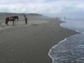 Ilsa de Chiloe, southern Chile 2016.