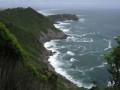 Chiloe NP, southern Chile 2016.