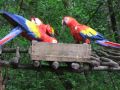 Copan, western Honduras 2010.