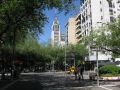 Mendoza, central Argentina 2010.