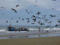 Puerto Lopez, western Ecuador 2010.
