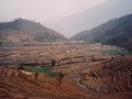 Sikkim, n-e India 1992.