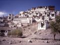 Tikse, Ladakh, n-w India 1989.