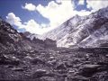 Markha Valley, Ladakh, n-w India 1989.