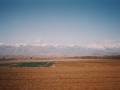 Leaving Tehran (Elburz Mtns), northern Iran 1990.