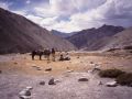 Ganda La, Ladakh, n-w India 1989.