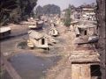 Srinagar, Kashmir, n-w India 1989.