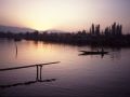 Dal Lake, Kashmir, n-w India 1989.
