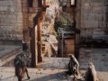 Chittorgarh, western India 1992.