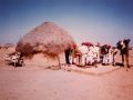 Jaisalmer region, n-w India 1990.