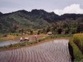 Bukittinggi region, central Sumatra, Indonesia 1992.