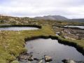 Mt Field, Tas 2020.