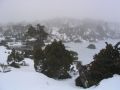 Mt Field NP 2004.