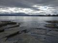 Derwent Estuary 2018.