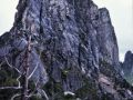 Frenchmans Cap region 1988.