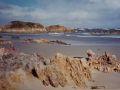Couta Rocks, n-w coast 1994.