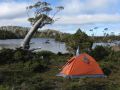 Mt Field NP 2012.