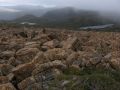 Mt Field NP  2012.